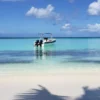 Saona Island Small Group Experience