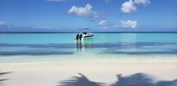 Saona Island Small Group Experience