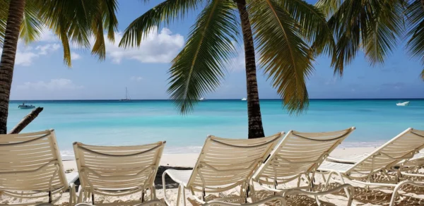 Saona Island Small Group Experience
